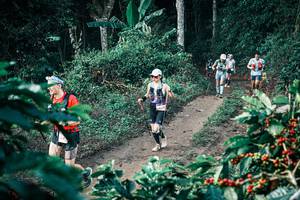 BIB: 
                            <button type="button" onclick="openModal(25793905)" class="btn btn-primary btn-sm float-right btn-popup" data-toggle="modal" data-target=".modal-high-quality">
                        <i class="fas fa-shopping-cart"></i> Add to Cart
                    </button>
                                            <button type="button" onclick="isThisMe(25793905, true)" class="btn btn-success btn-sm float-right btn-popup btn-isme hidden" data-toggle="tooltip" data-placement="bottom" title="นี่คือรูปของคุณใช่ไหม คลิกที่นี่เพื่อเอาเข้าอัลบั้ม">
                        <i class="fas fa-plus"></i> Add to album
                    </button>
                    <button type="button" onclick="isThisMe(25793905, false)" class="btn btn-warning btn-sm float-right btn-popup btn-isnotme hidden">
                        <i class="fas fa-ban"></i> Remove from album
                    </button>